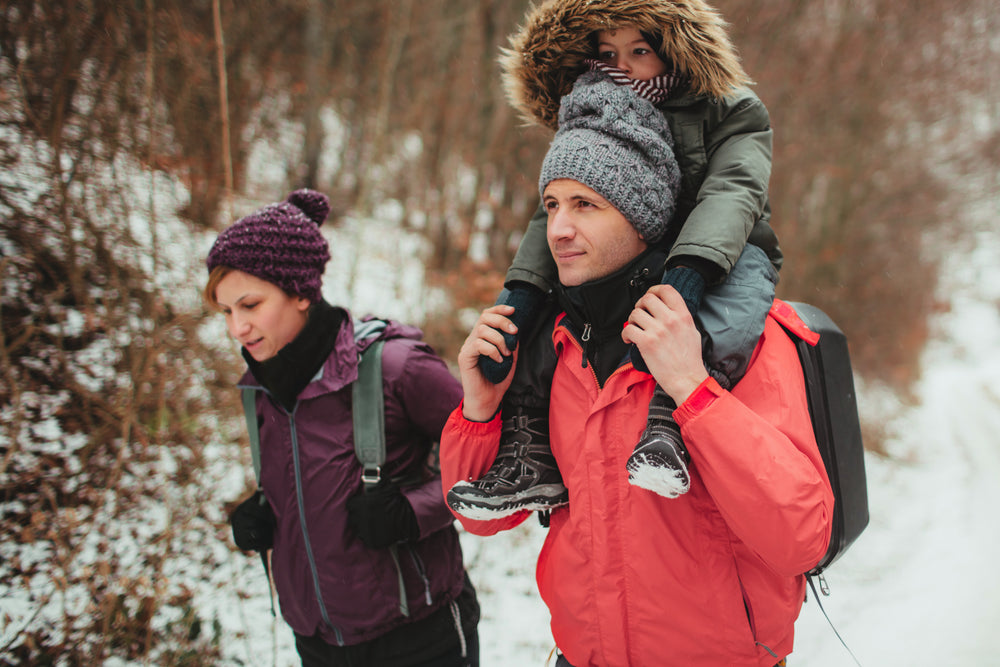 Elderberry for Winter Wellness: Research Roundup