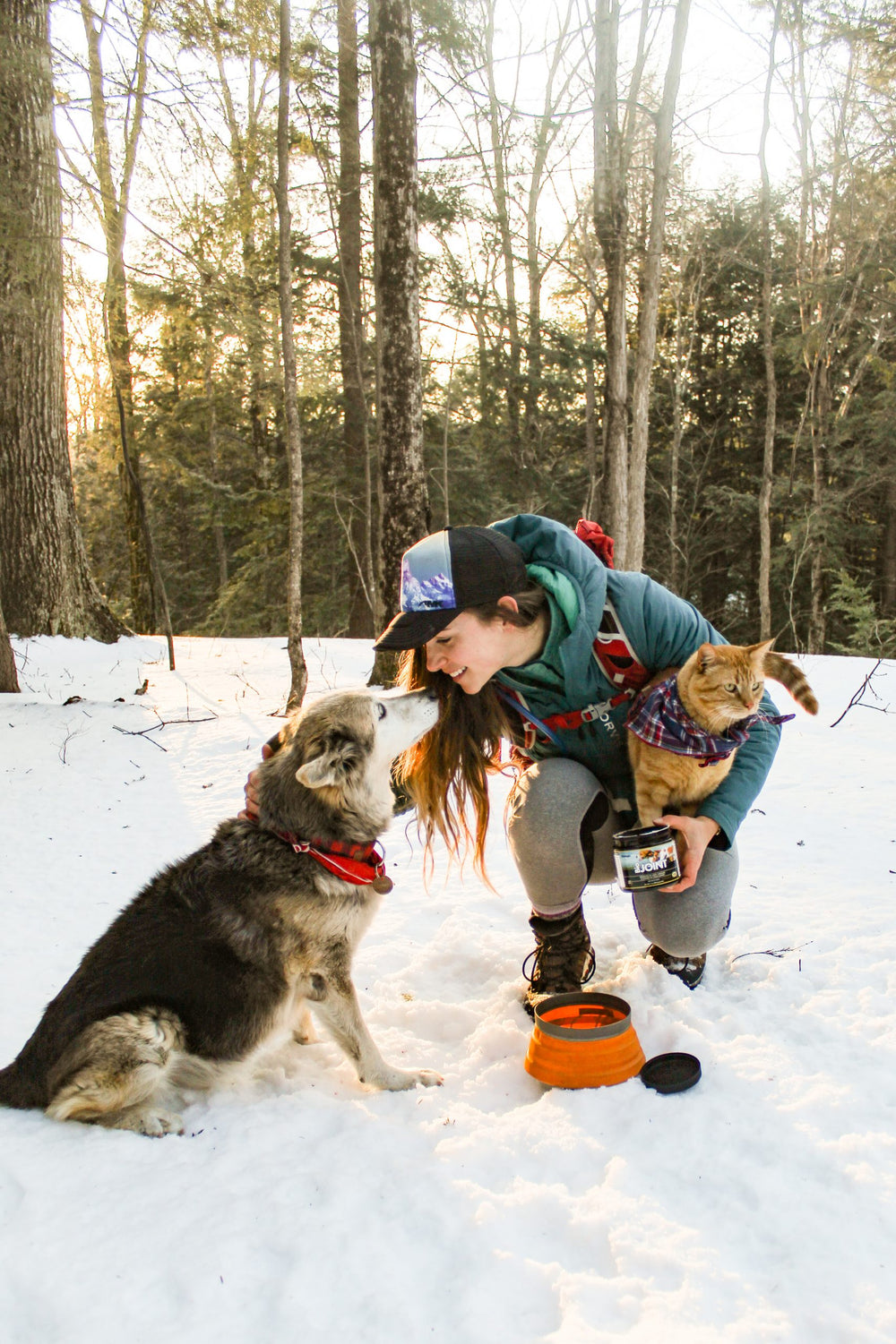 Enzymes and Your Pets