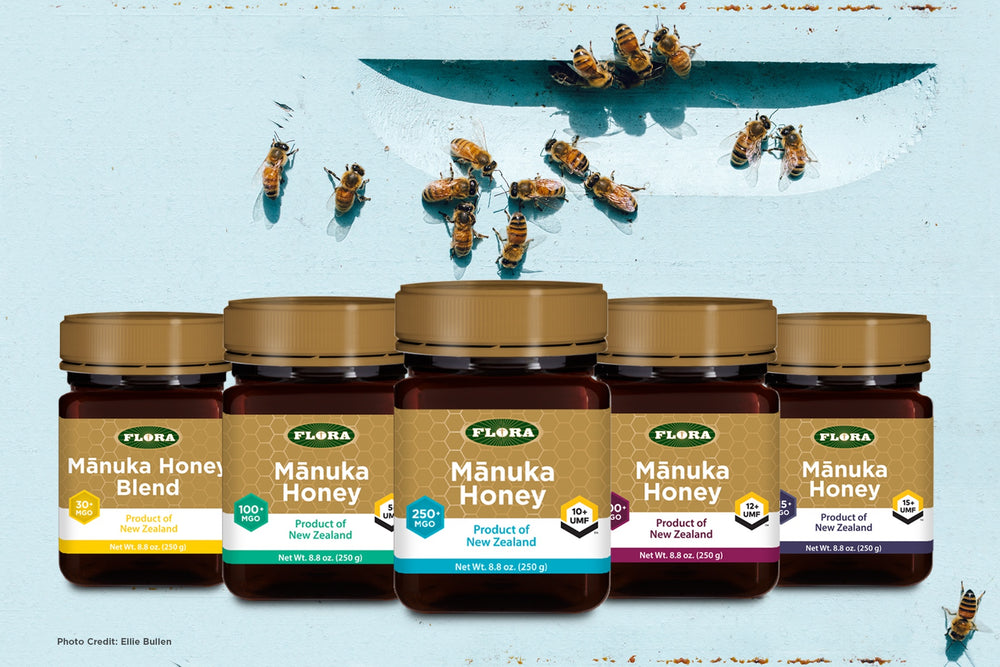 World Bee Day