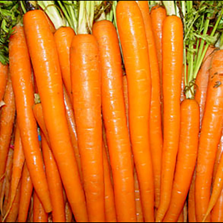 Carrot