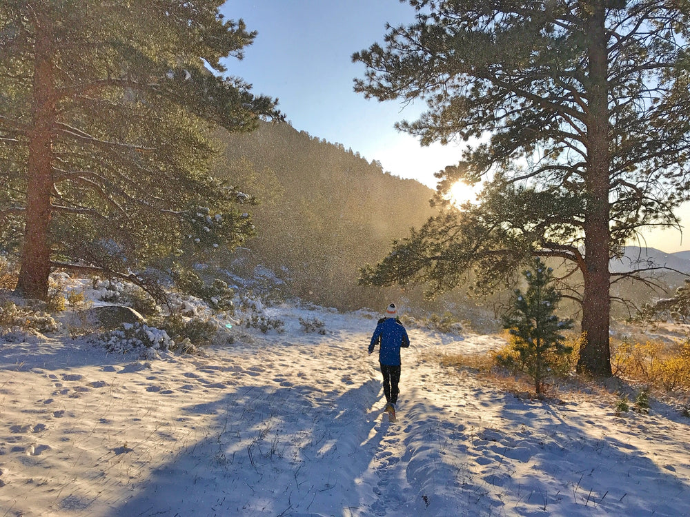 Finding a Way in the Winter