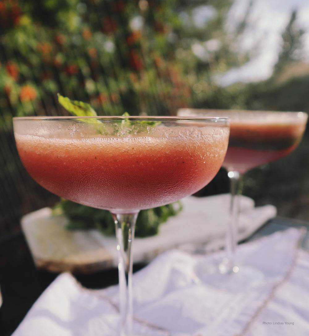 Swedish Bitters Cocktails