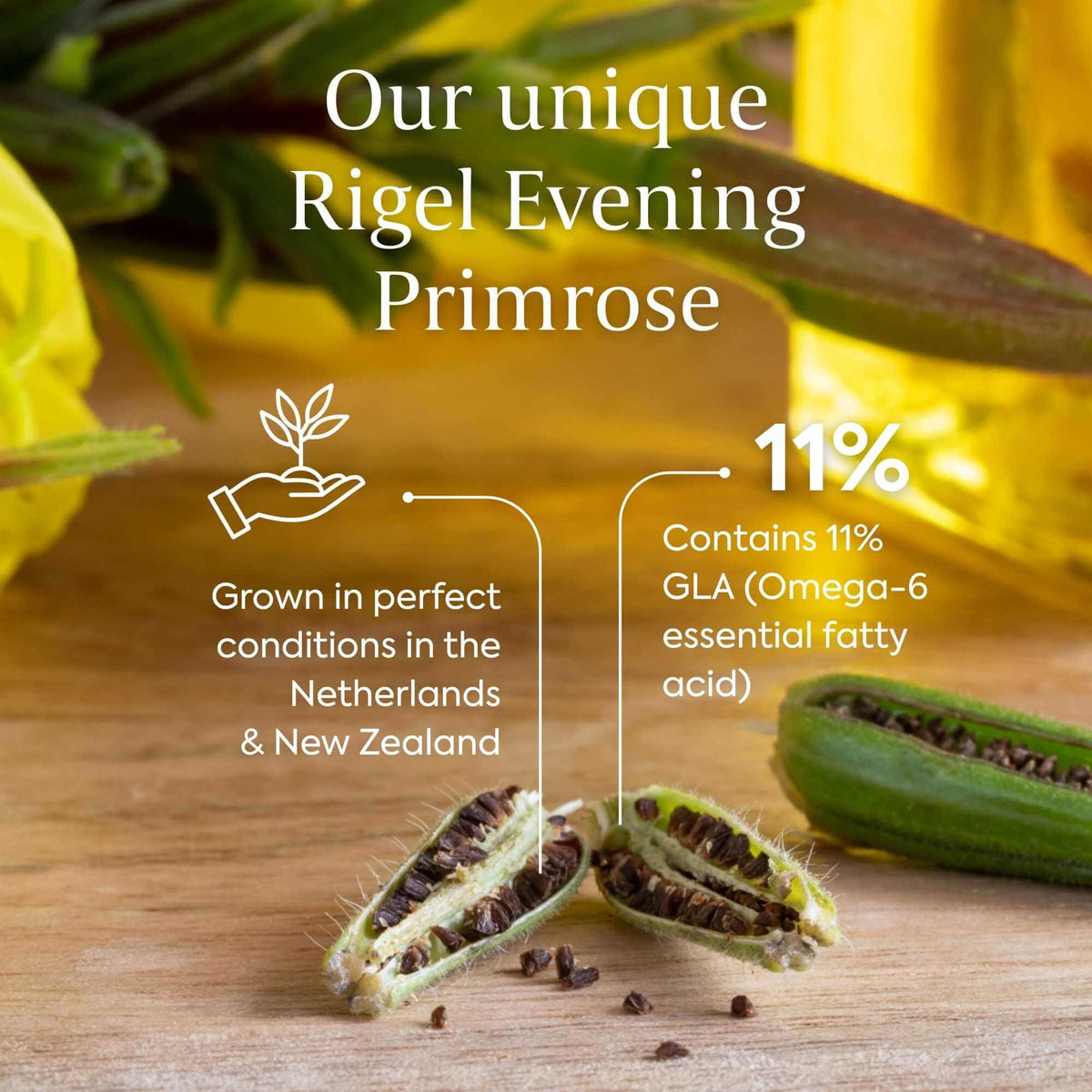 Healit Rgel Efamol® Evening Primrose Oil 1000 mg